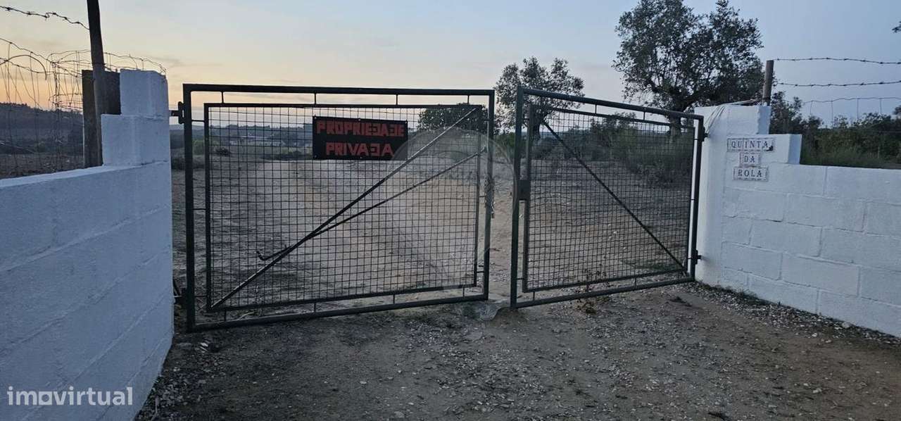 Tereno com agua e luz para agricultura - Grande imagem: 2/12