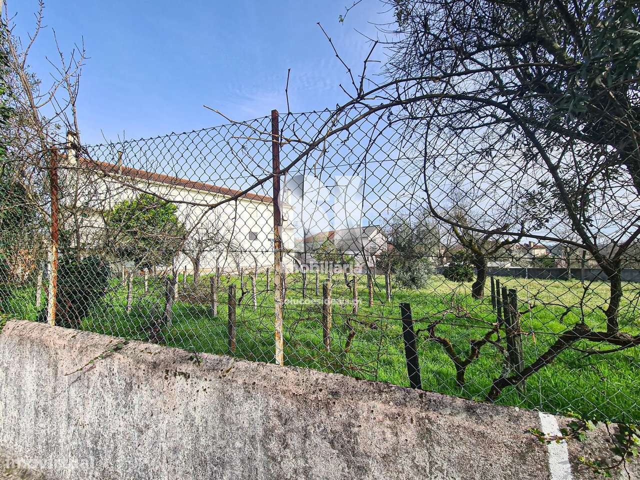 Terreno 600m2 - Barbeita - Grande imagem: 3/12