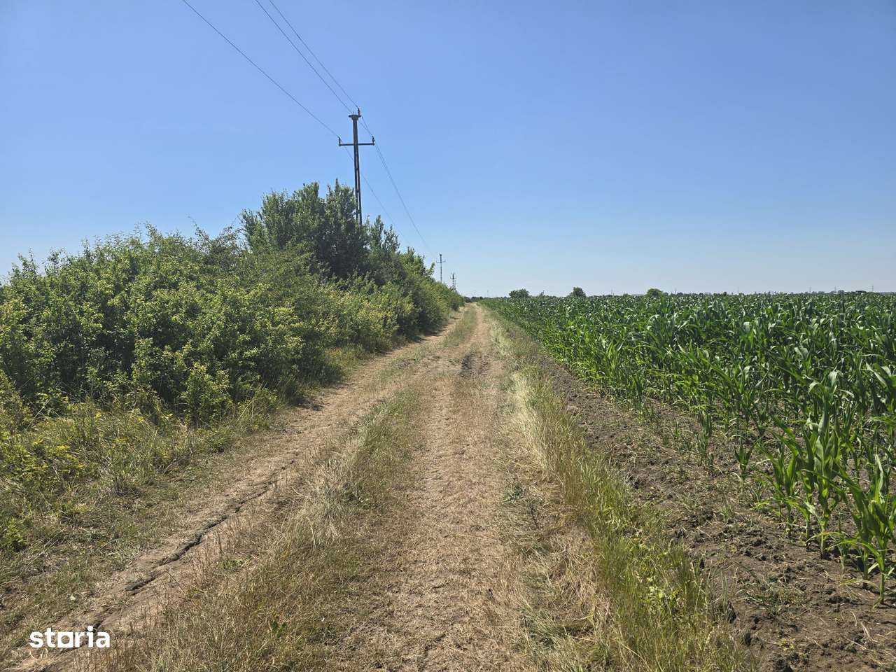 Teren 5.755 mp, poziție excelentă– Str. Lucian Blaga, Satu Mare-2