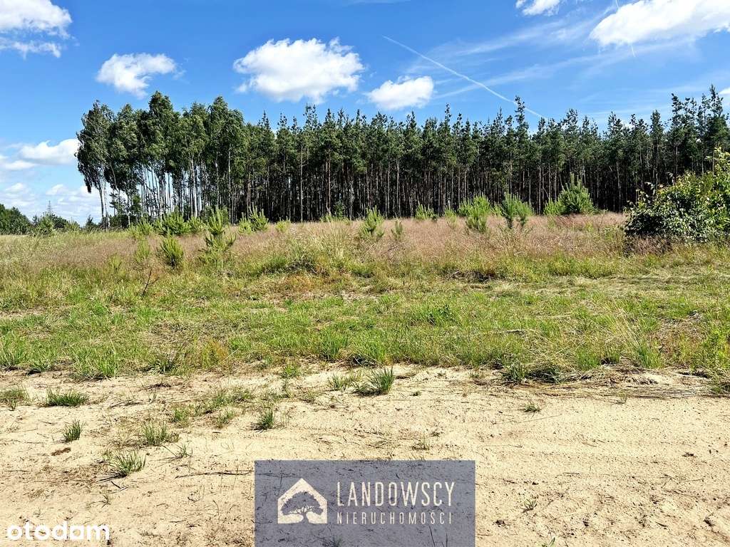 Działka w Bytoni-przy głównej drodze, pod lasem! - Pełny obrazek: 4/15