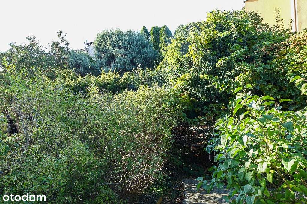 Parter domu po remoncie 101 m2+ogród+garaż 700tys.-3