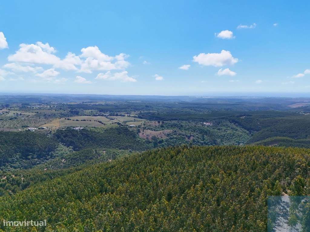 Terreno em São Teotónio, Odemira-5