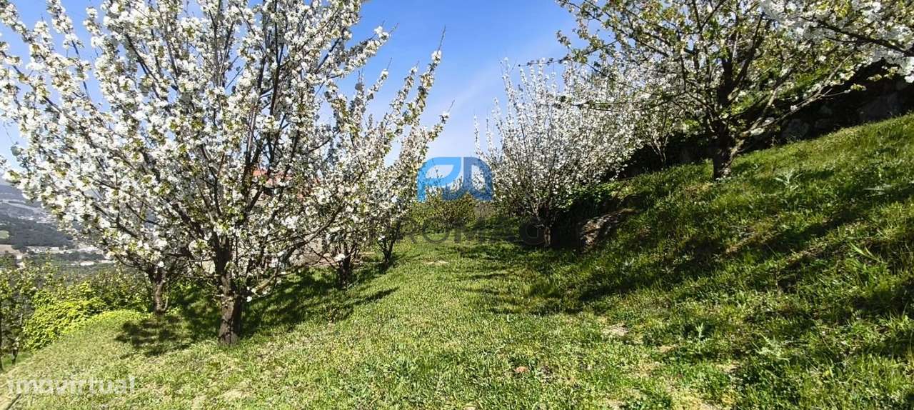 Quinta do Valado- Excelente Investimento em Resende-16