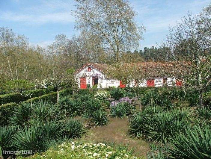 Quintinha a 20 minutos do porto - Grande imagem: 4/7