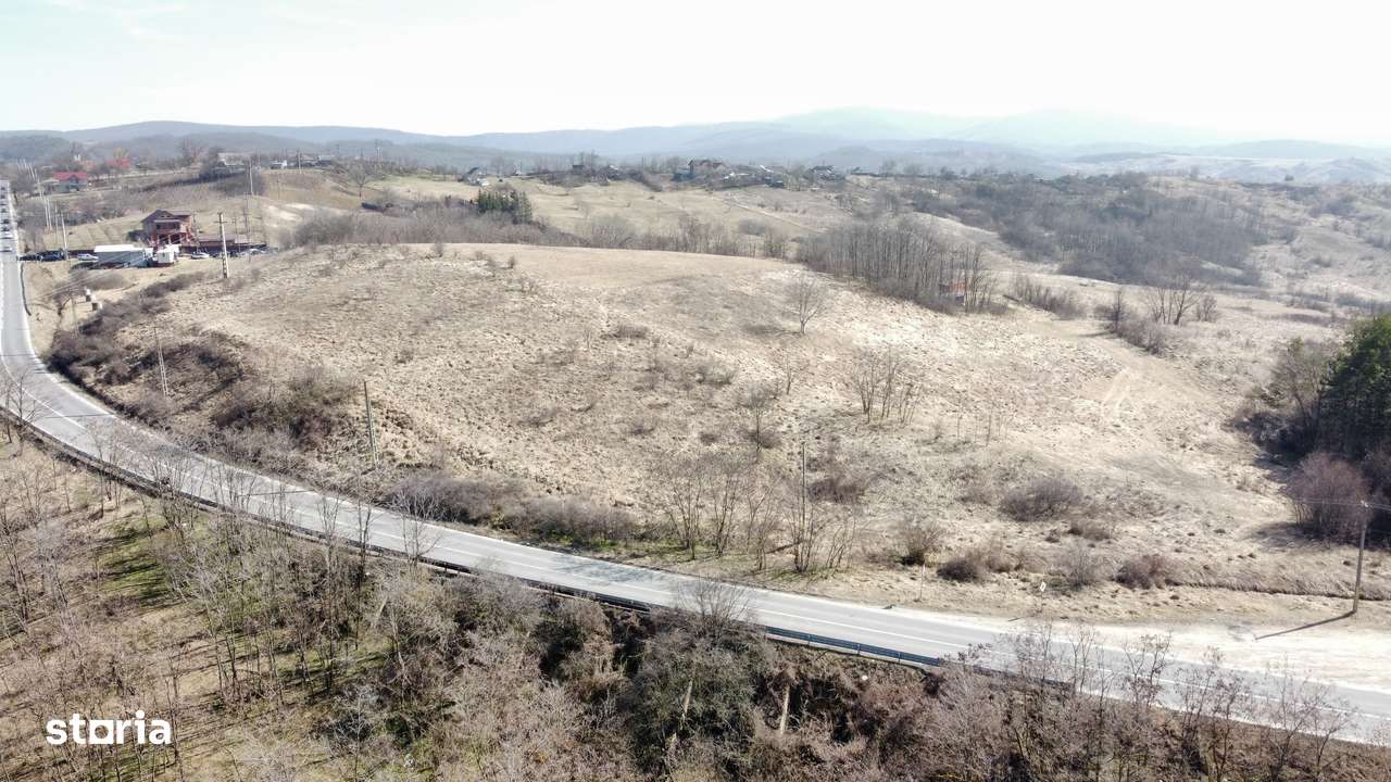 Teren 10000 mp Sanduleni-3