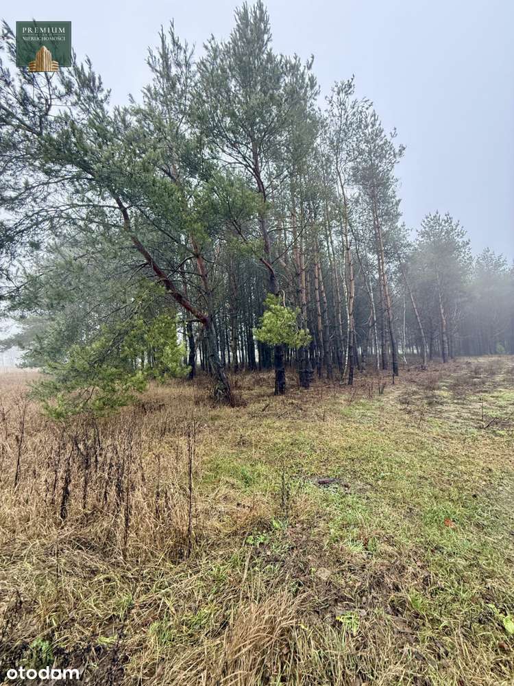 Działki Budowlane-Protasy - Pełny obrazek: 4/20