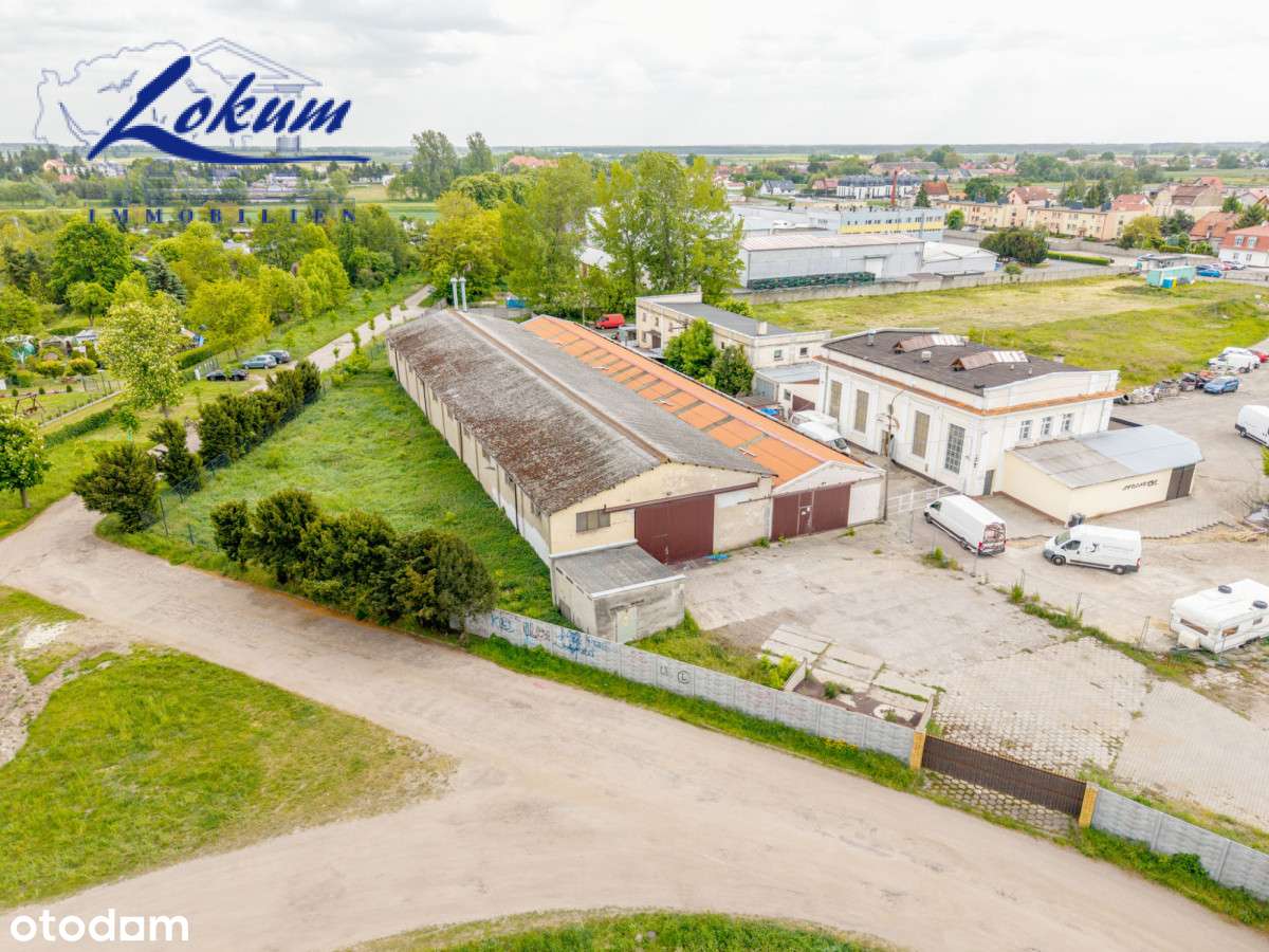 Do wynajęcia dwie duże hale w o powierzchni 1418m2 - Pełny obrazek: 3/4