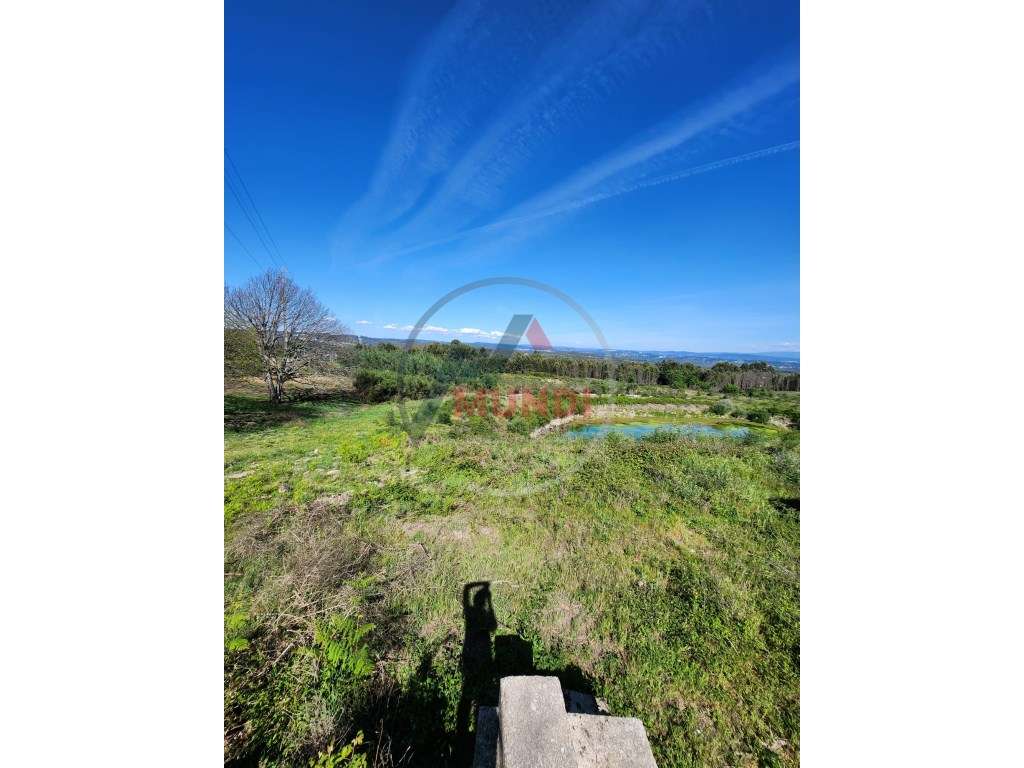 Terreno Misto com com uma charca natural e uma ruina, tem viabilida... - Grande imagem: 5/11