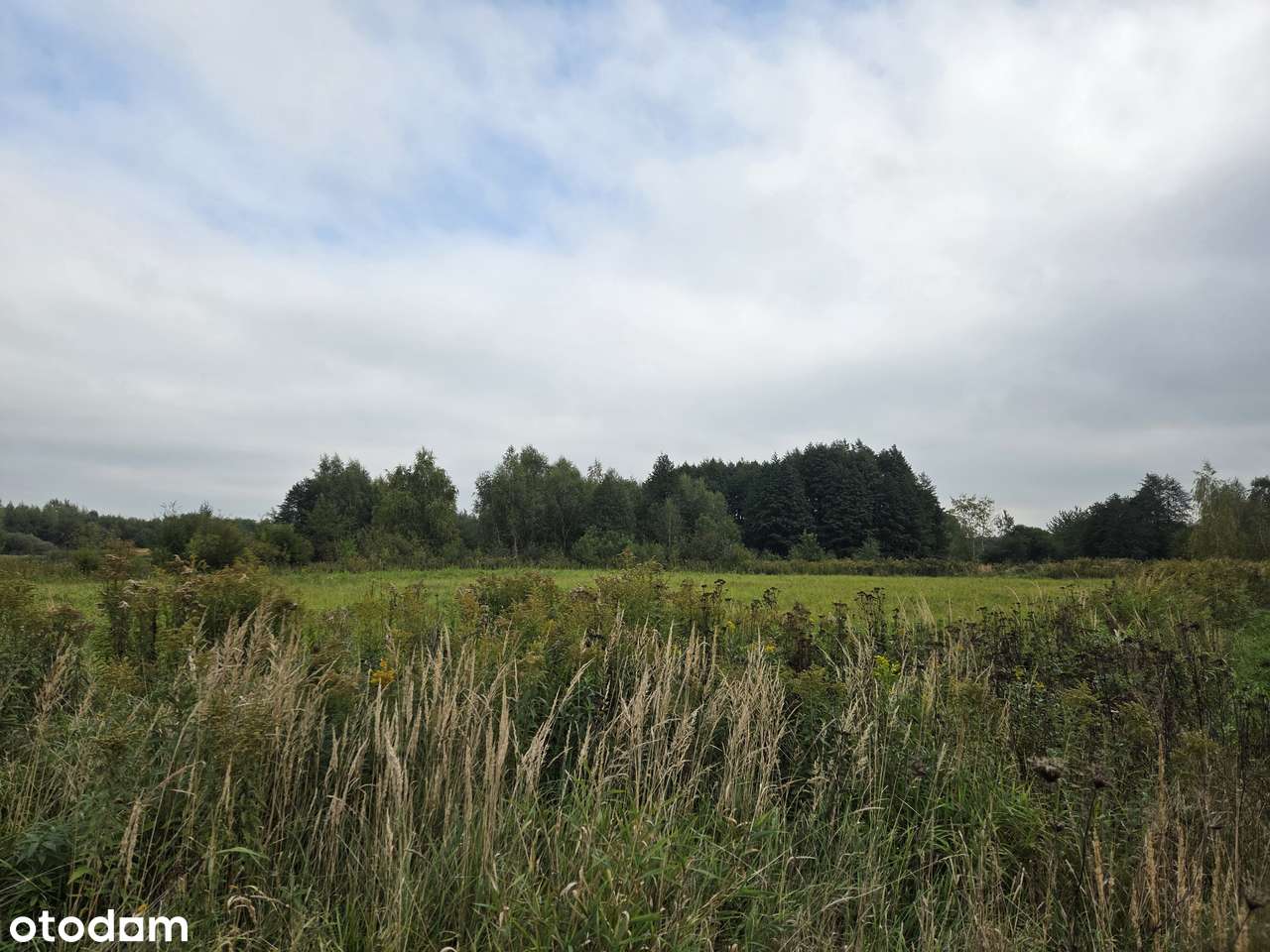 Atrakcyjne działki 2792 m² w Krasnem - Pełny obrazek: 4/17