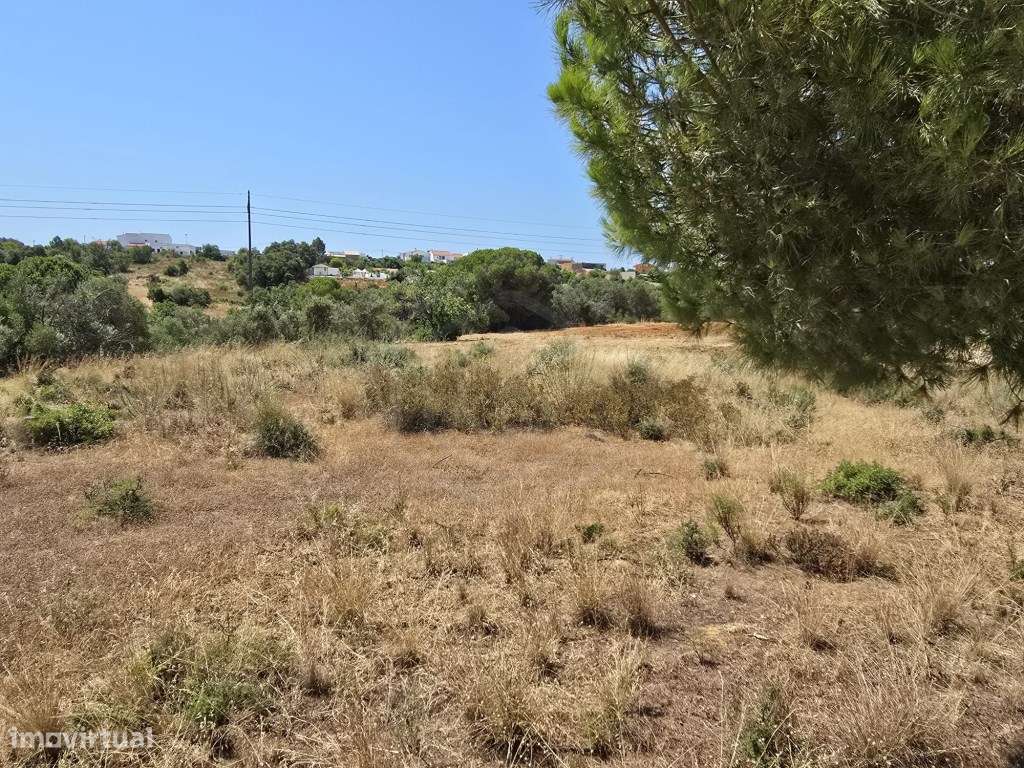 Terreno rústico, com diversas árvores, Boliqueime, Algarve - Grande imagem: 5/20