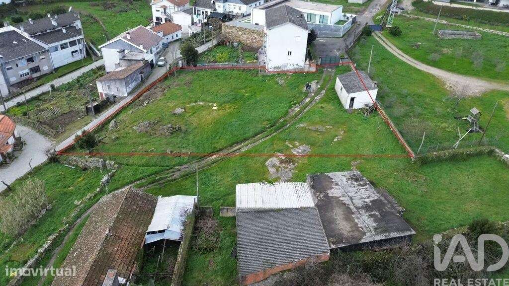 Terreno para construção em Alijó - Grande imagem: 2/13