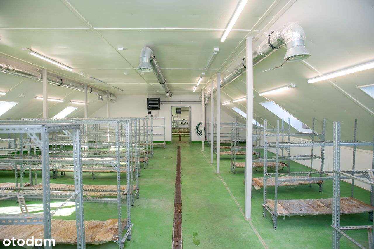 Dom z dużą działką oraz halą produkcyjną-13