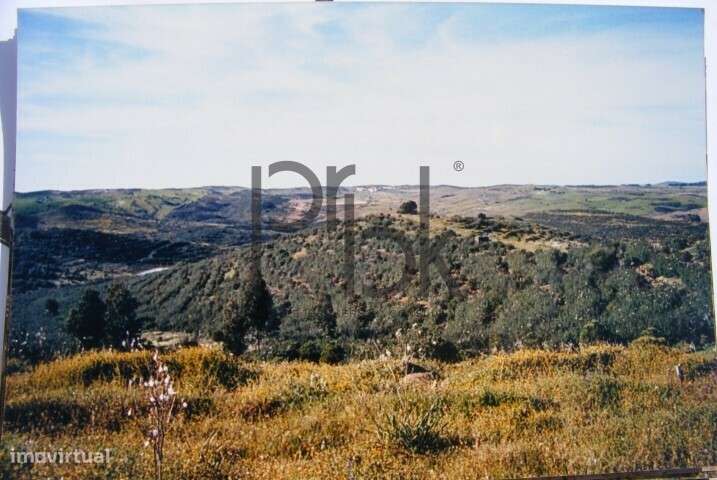 Herdade Montinho do Pascoal-21