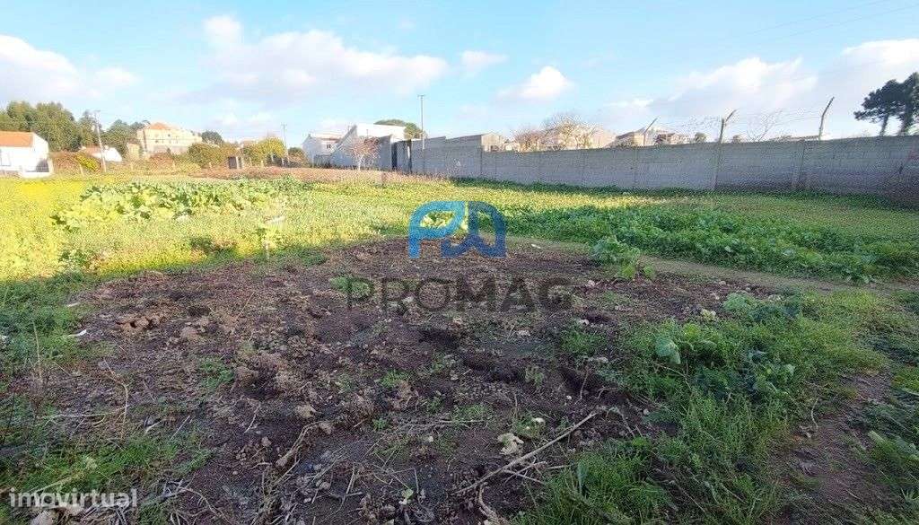 Terreno de 3850 m2 + Armazém | Potencial para Moradias-15