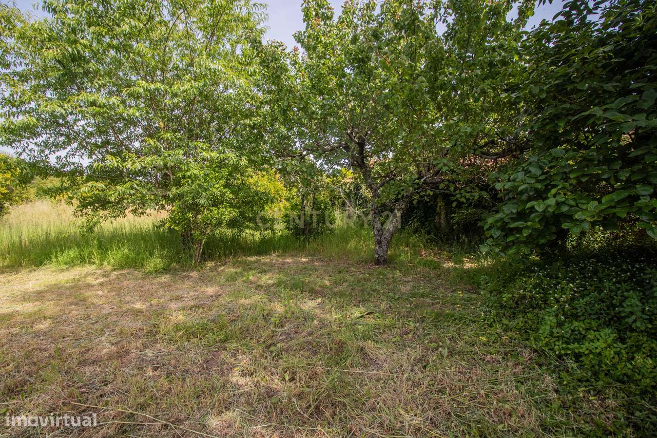 Casa Antiga em Alfarelos, Soure-29