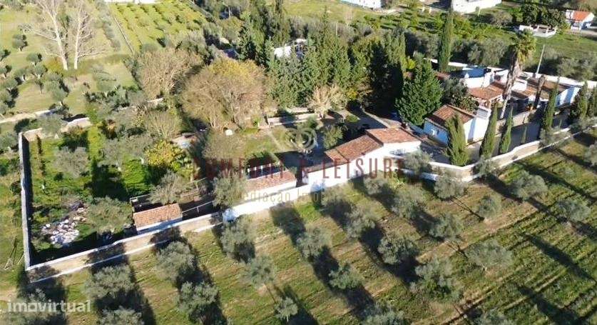 Quinta T5 Venda em Évora Monte (Santa Maria),Estremoz - Grande imagem: 4/60