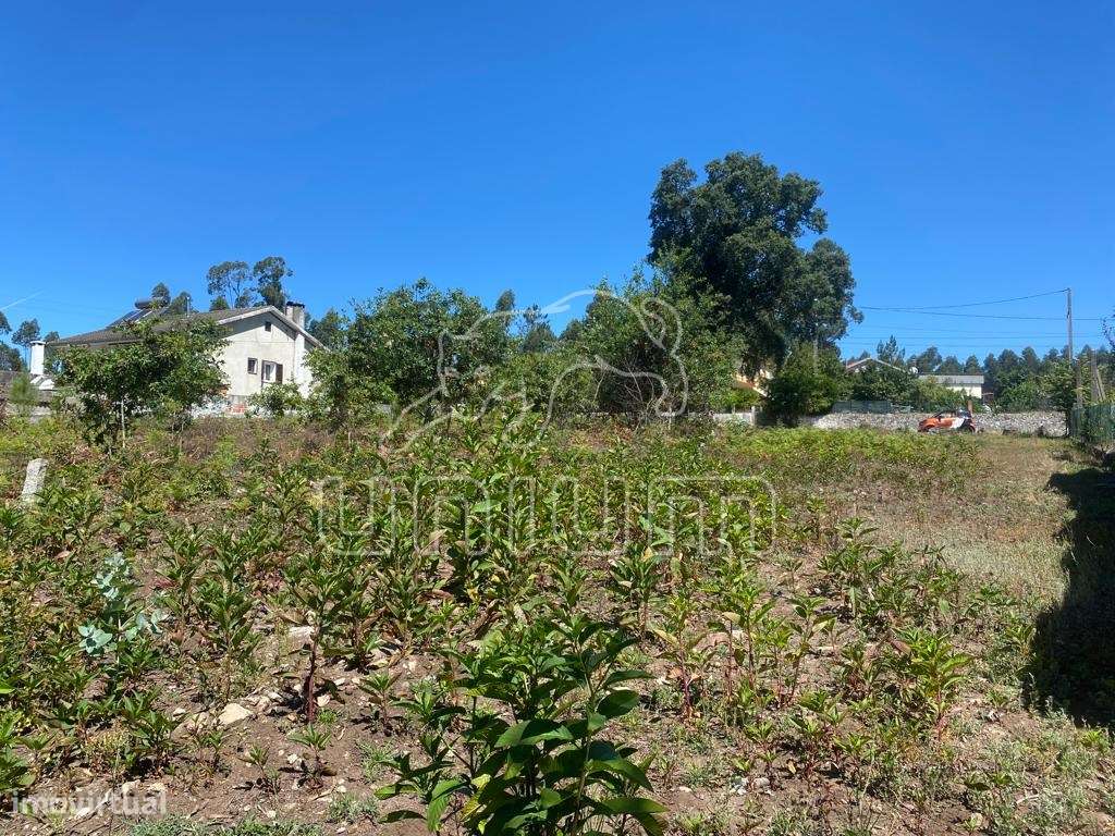 Terreno Fragoso - Grande imagem: 2/6