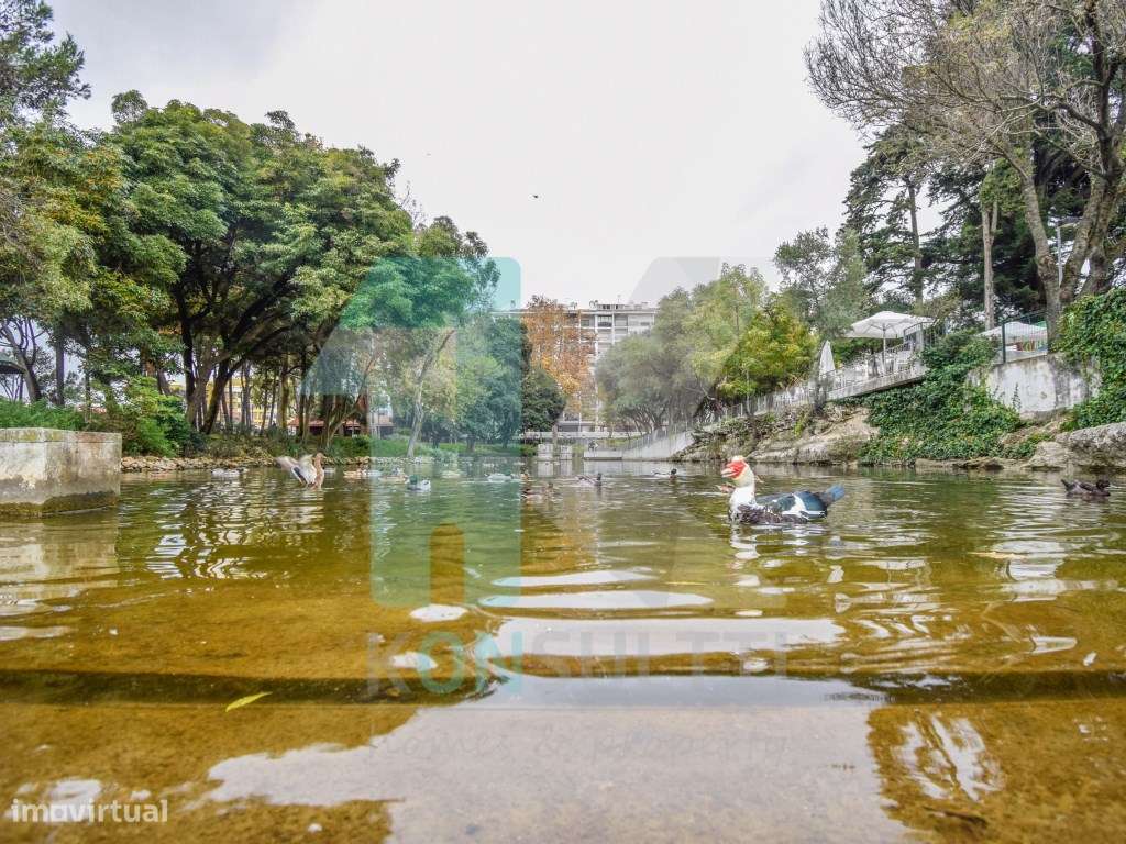 Quarto para arrendamento anual - Grande imagem: 3/12