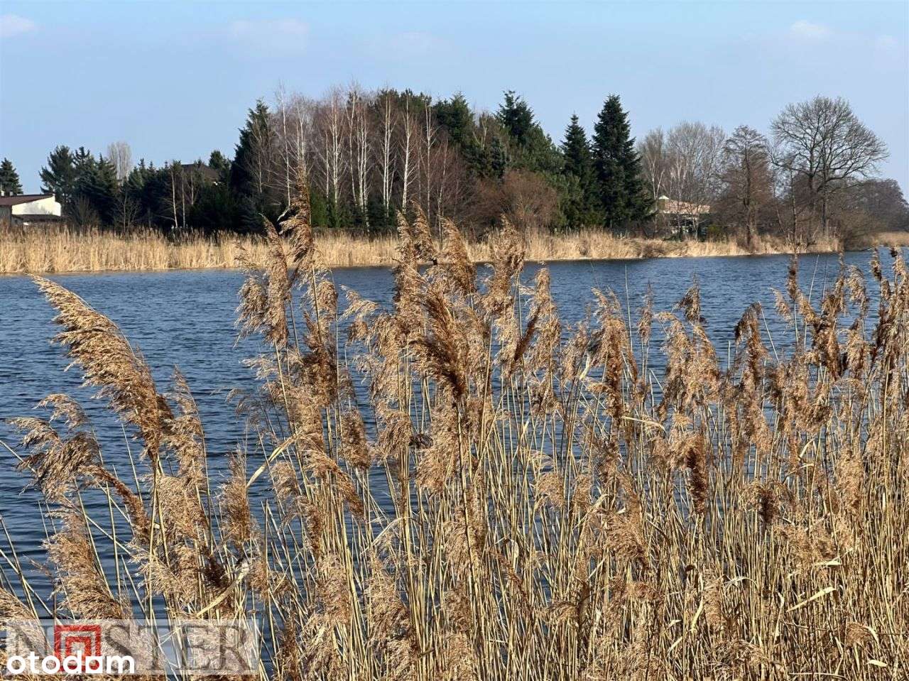 Wilanów - działka nad jeziorem-10