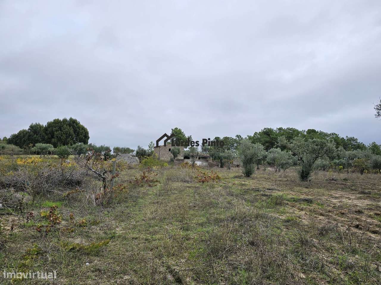 Quinta com construção em pedra-7