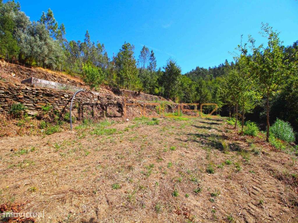 Quinta Isolada com Margem de Rio e Potencial de Eco-Retiro - Arouca-29