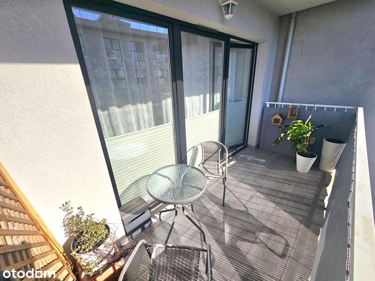 Promocja! Cena niższa o 20 tys. — tylko do końca roku! - Pełny obrazek: 4/16