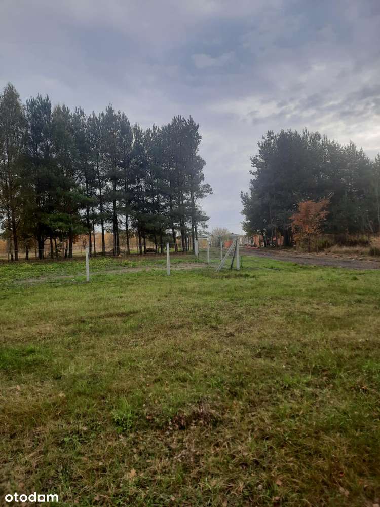 Działka budowlana Wierzbin 1545 m2 gm. Stare Babice-1