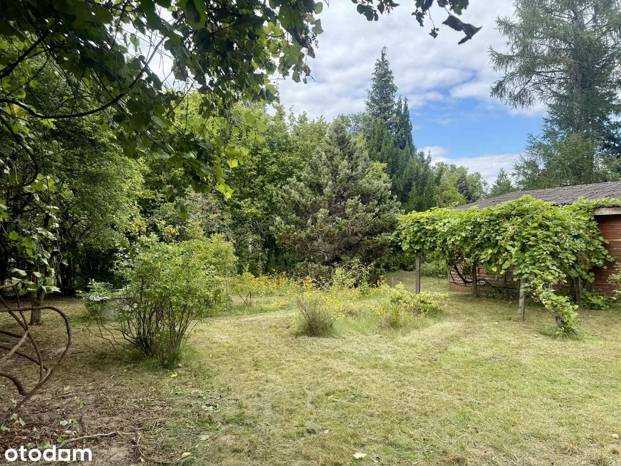 Działka budowlana z domkiem letniskowym i mediami - Pełny obrazek: 5/20