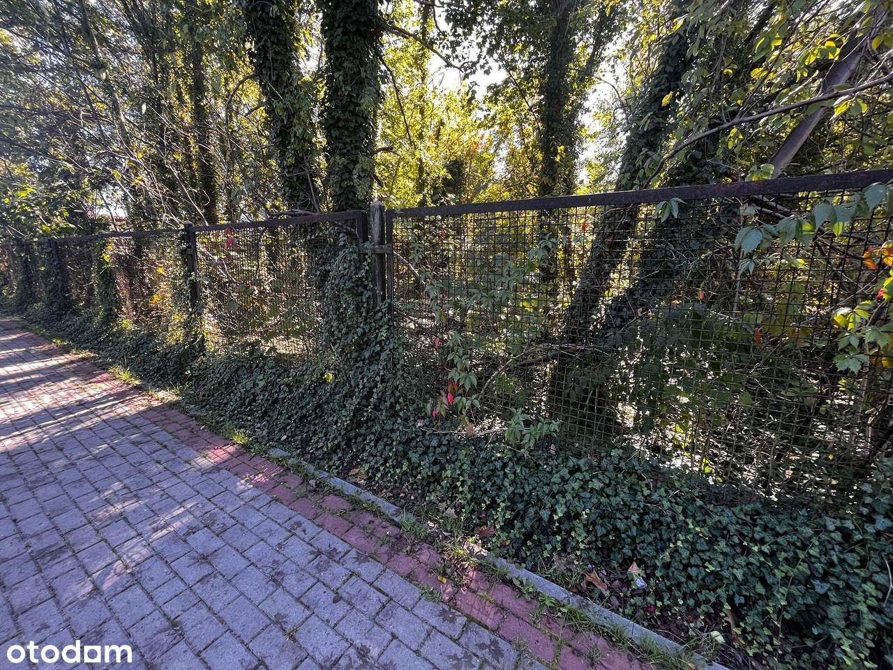 Działka 2376 m² z MPZP – Międzyborów media.-8