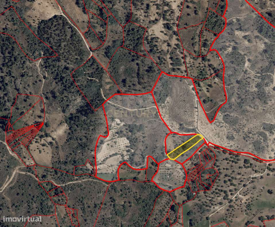 Terreno Rústico em Aldeia de Santa Margarida, Idanha a Nova - Grande imagem: 4/6