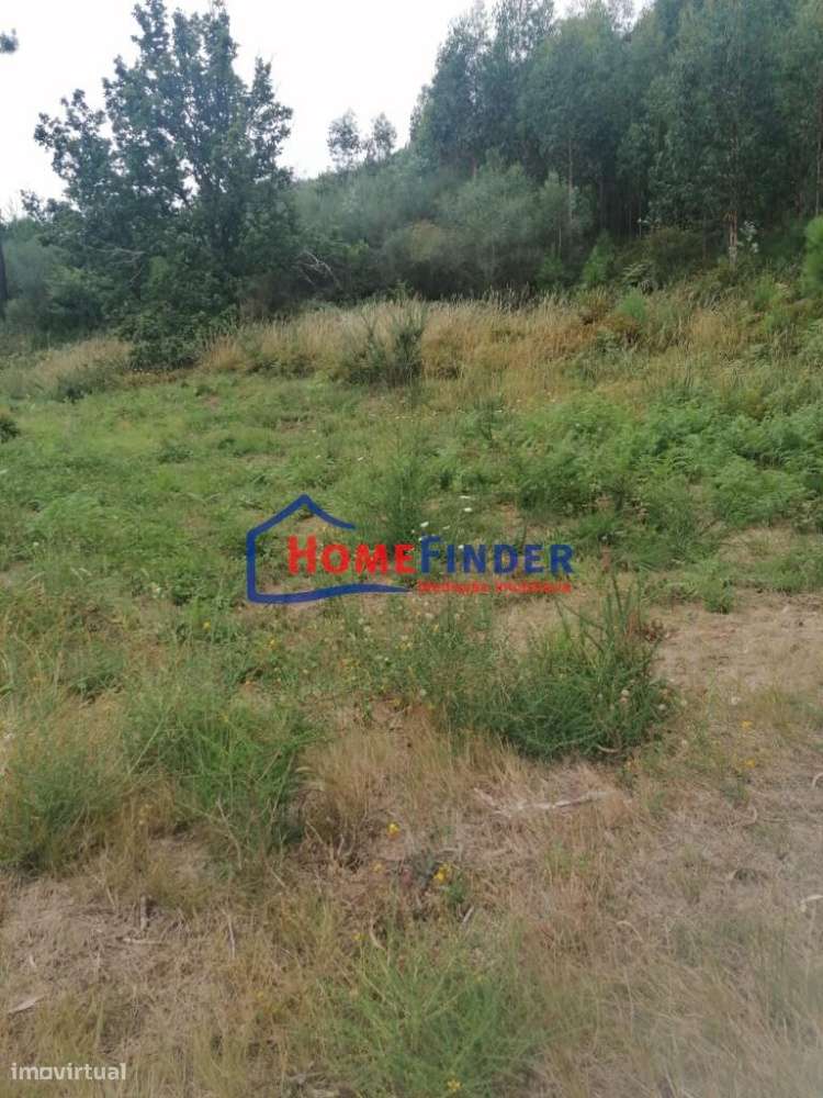 Terreno com aprox. 1.240 m2 - Monção - Grande imagem: 2/26