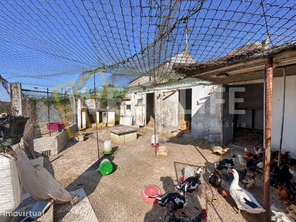 Terreno Urbano com Potencial para Construção de Moradias | EXCLUSIV...-16