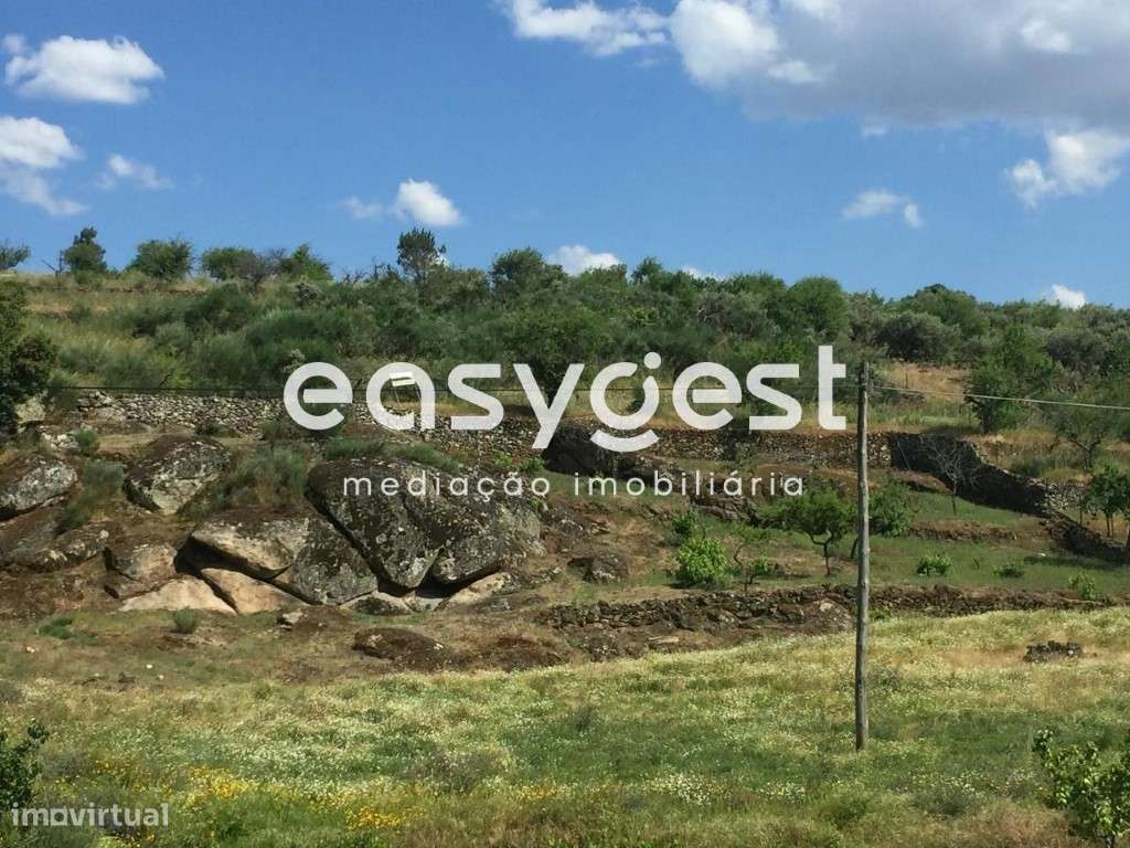 Terreno rústico em Vila flor - Grande imagem: 2/8