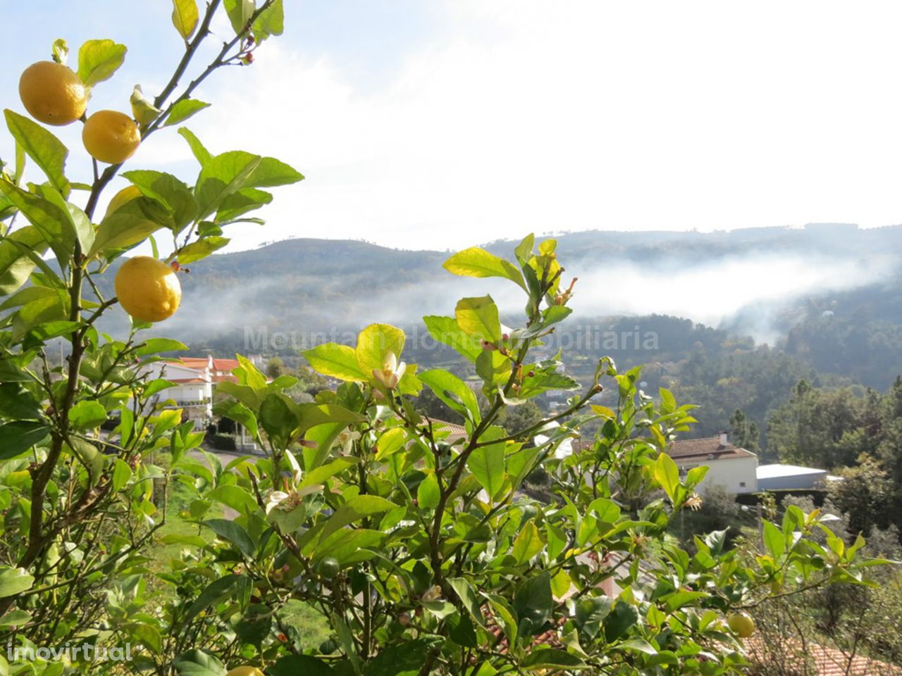 Lote de Terreno  Venda em São Gião,Oliveira do Hospital