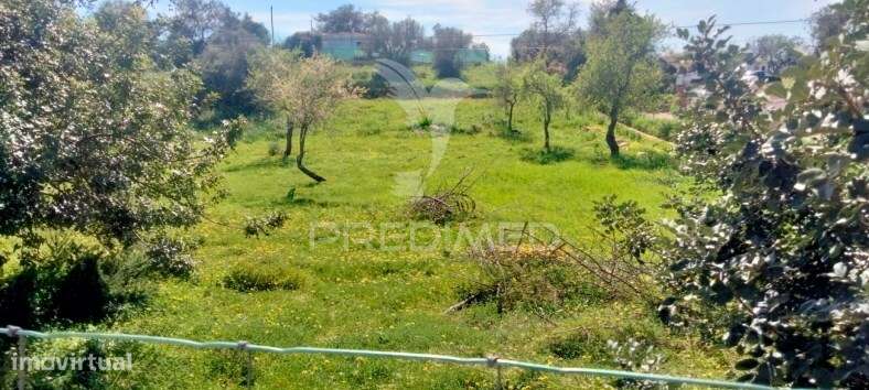 Terreno Rustico com  casa habitável - Grande imagem: 2/18