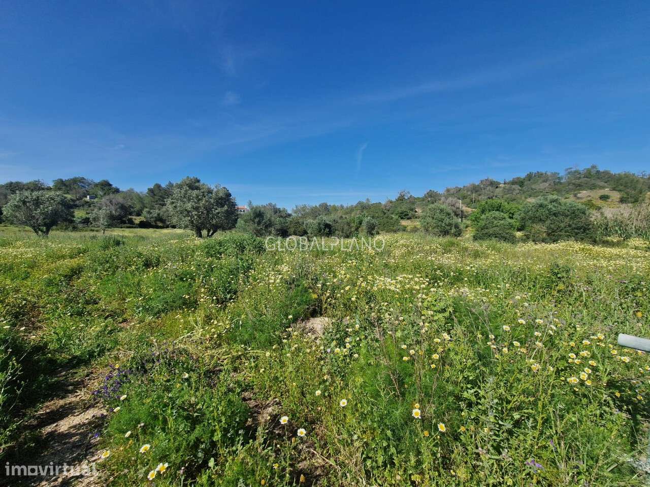Lote de Terreno para Construção - Grande imagem: 5/7