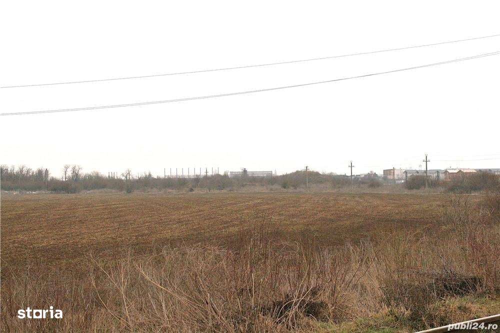 Terenuri de vânzare – Otopeni, Tunari și zone limitrofe - Imagine principală: 2/4