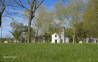 Terreno - Grande imagem: 3/15
