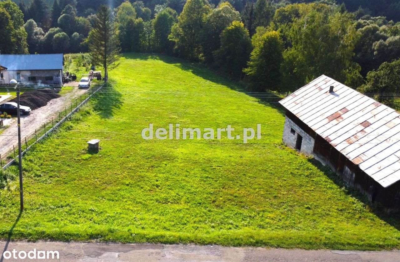 Atrakcyjna działka 38a, w tym 8a budowlana, Liszna - Pełny obrazek: 4/19