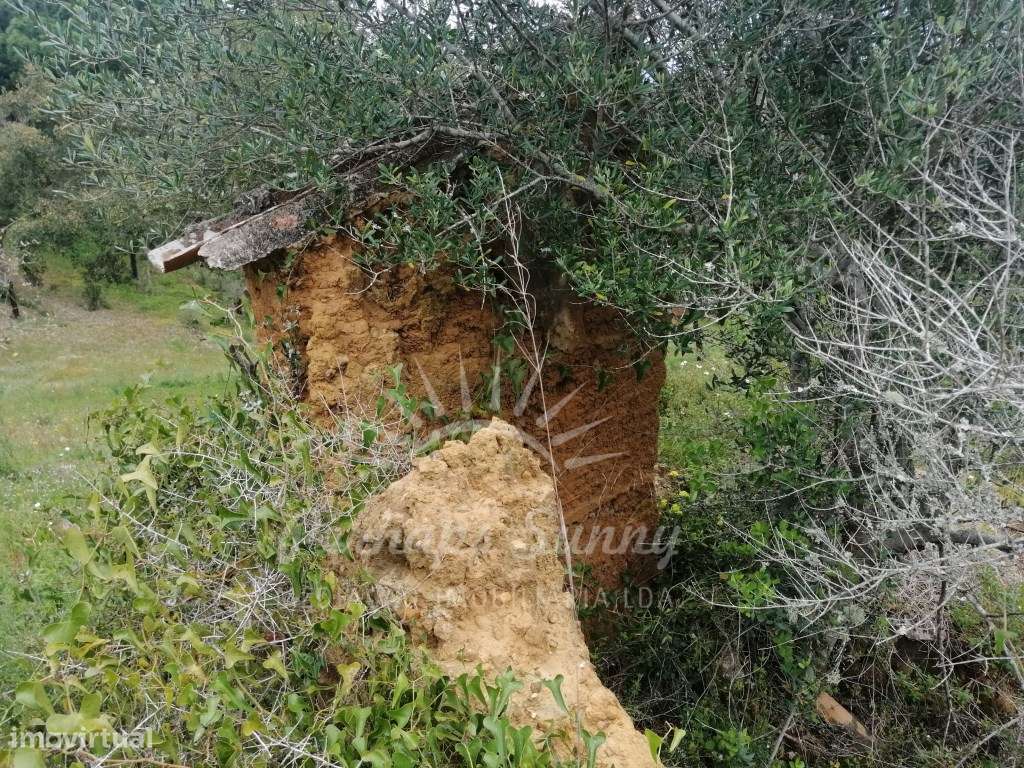 Quinta - Melides - Grande imagem: 4/28