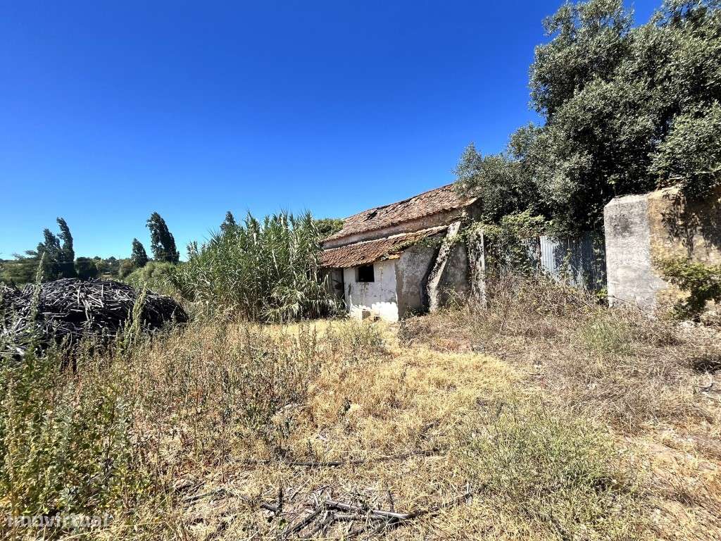 Terreno, em Rio Maior - Grande imagem: 4/11