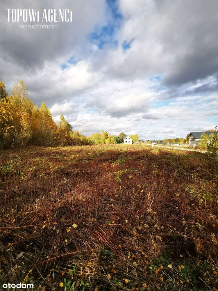 Na sprzedaż działka budowlana Bednary k. Żyrardowa - Pełny obrazek: 4/7