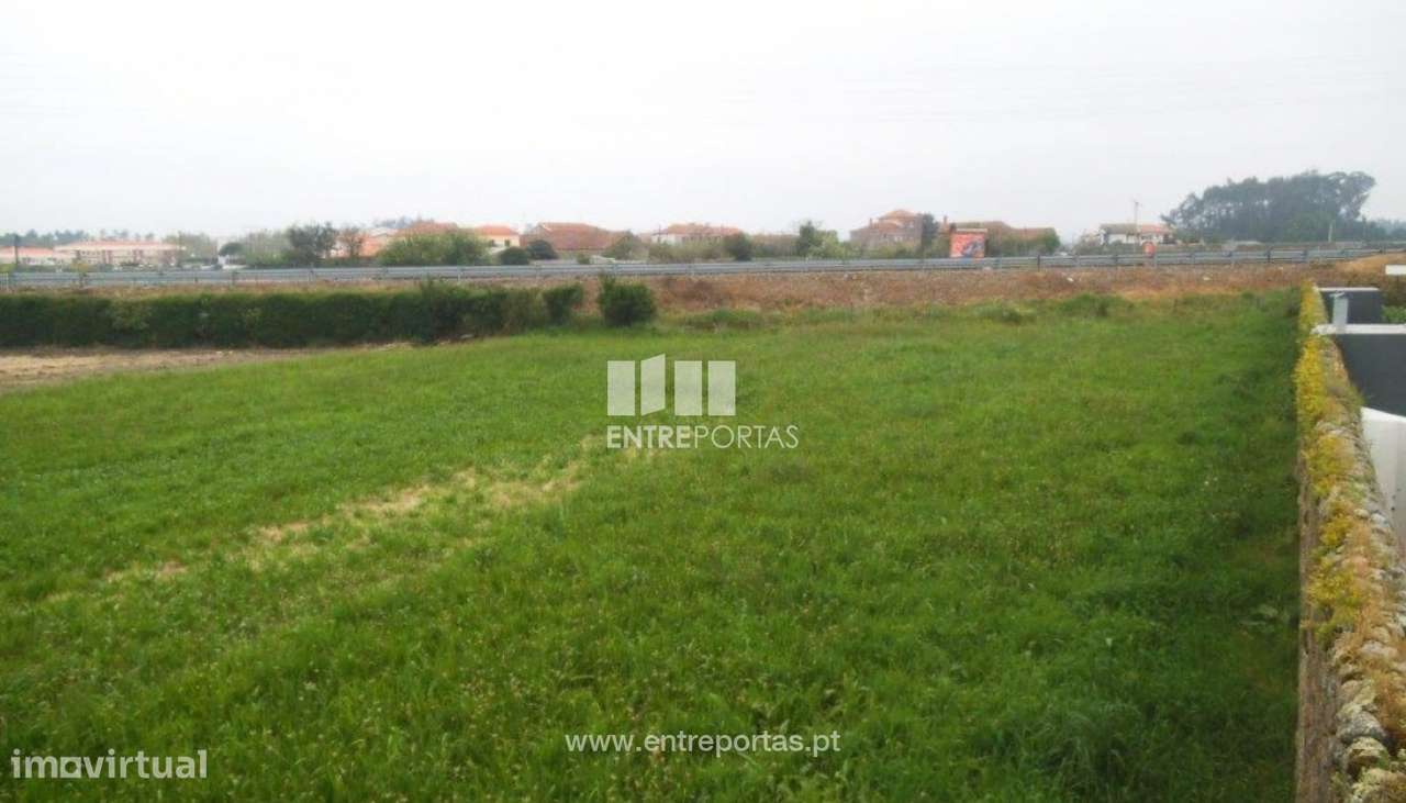 Venda de Terreno, inserido em zona de construção, Beiriz, Póvoa de - Grande imagem: 4/5