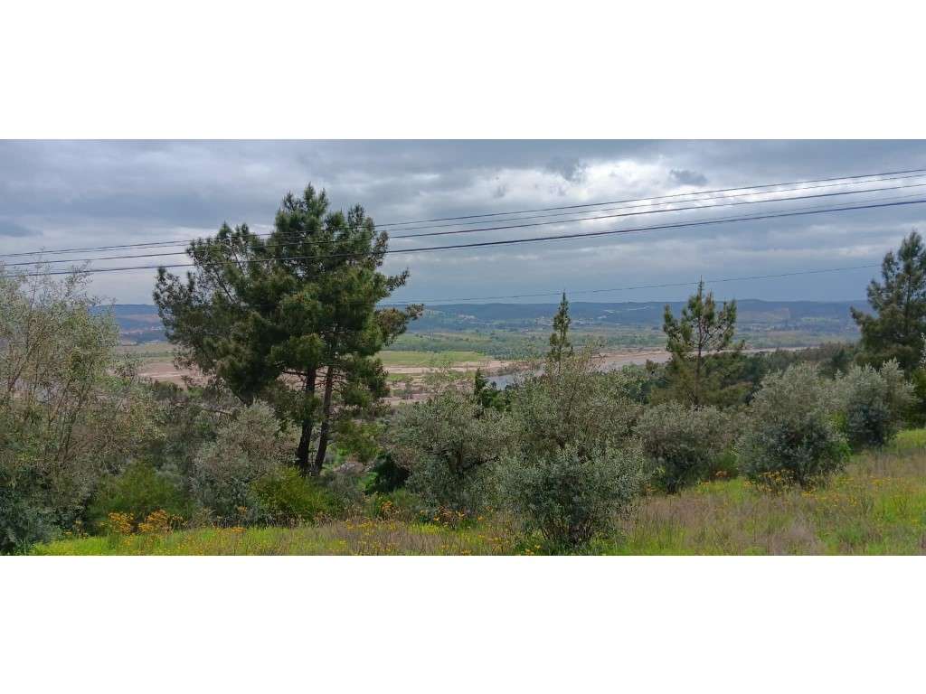 Terreno Rústico com Potencial de Construção I Vista para o Rio - 5.... - Grande imagem: 3/13