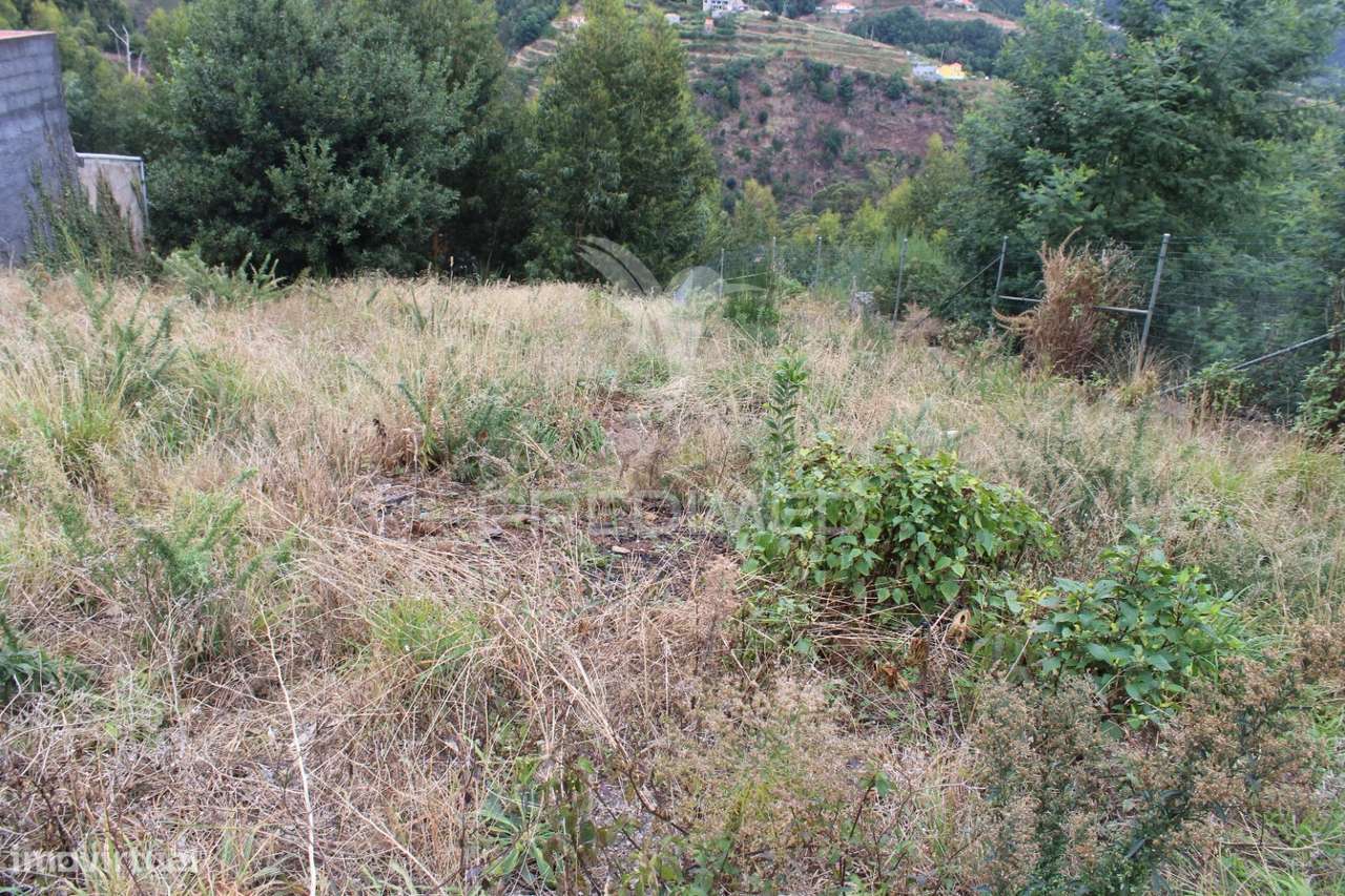 Terreno misto com área de total 1610m2 em Santa Cruz - Grande imagem: 2/26