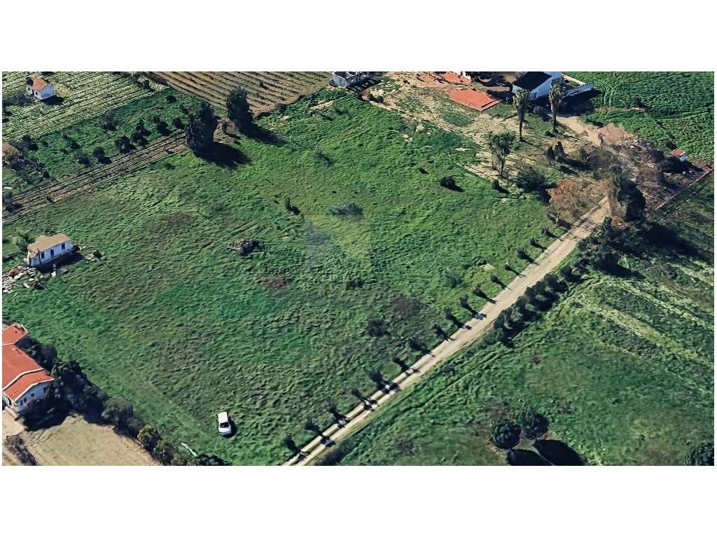 LOTE DE TERRENO COM 6000M2 - ENTRE PINHAL NOVO E PALMELA-5