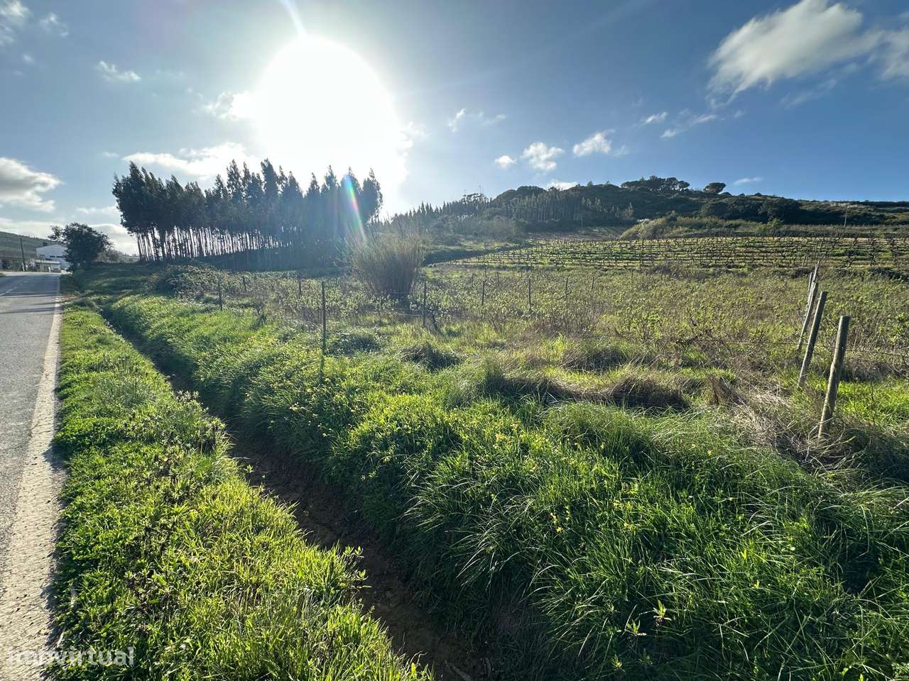 Terreno rústico com 2.320 m² entre Ribaldeira e Furadouro - Grande imagem: 5/6
