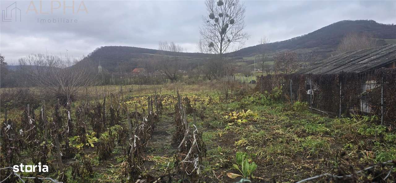 Casa de vanzare in localitatea Chirales, judetul Bistrita-Nasaud-8