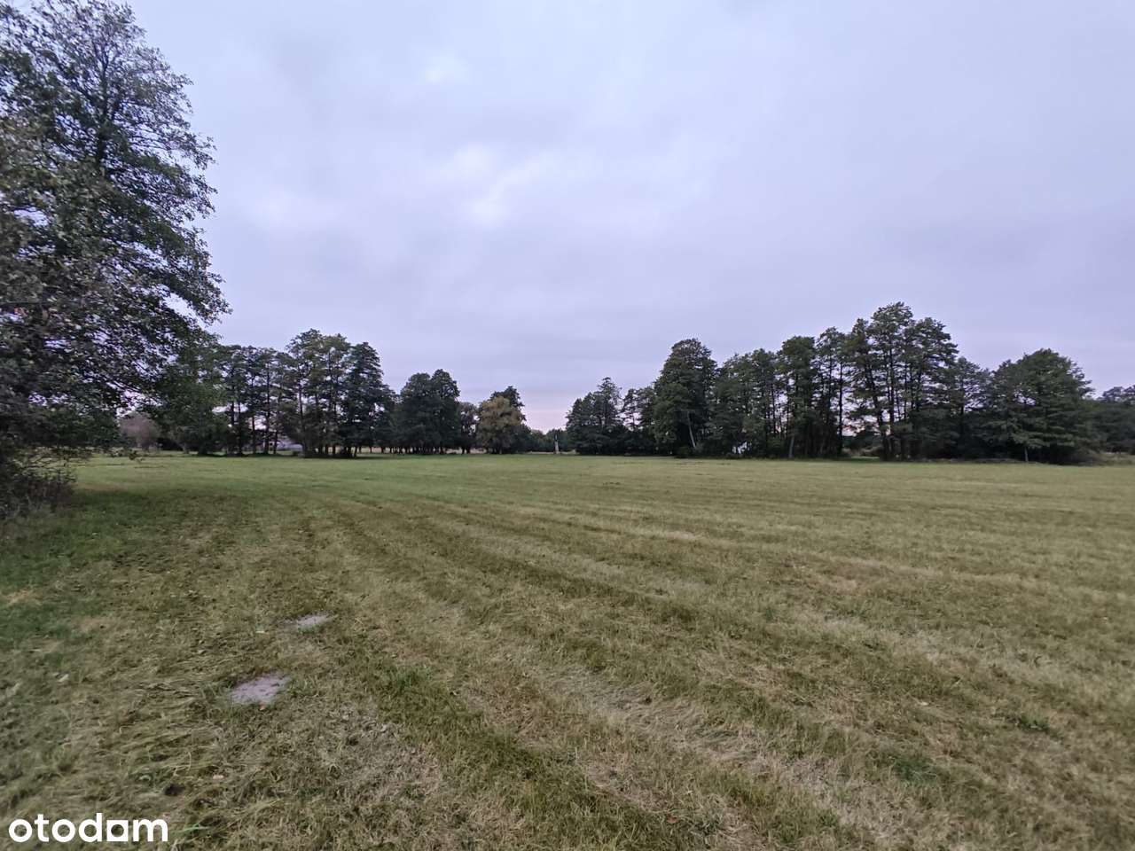 Sprzedam Działki z warunkami zabudowy - Pełny obrazek: 5/5