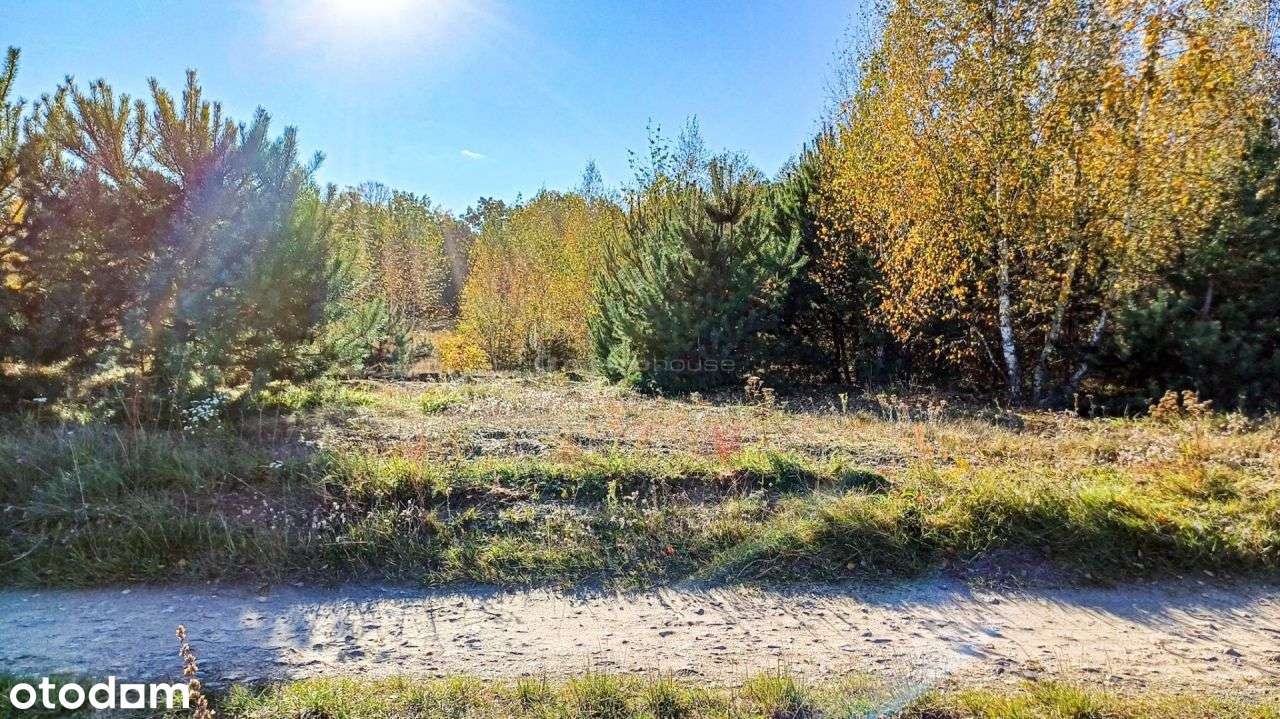 Działka budowlana 2000 m2 w Lutówku - na sprzedaż. - Pełny obrazek: 4/20